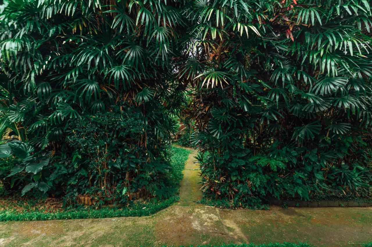 Suastika Lodge Ubud  Luaran gambar